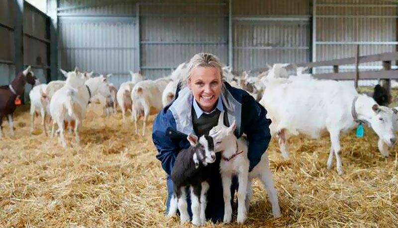 Main Ridge Dairy in Stock & Land
